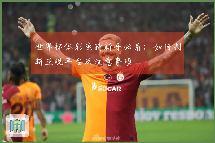 世界杯体彩竞猜新手必看：如何判断正规平台及注意事项