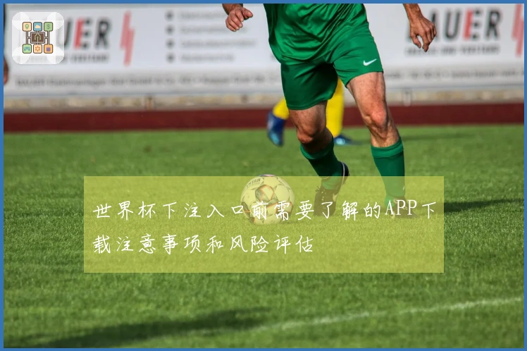 世界杯下注入口前需要了解的APP下载注意事项和风险评估