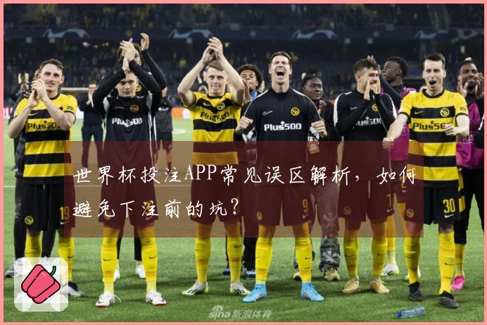 世界杯投注APP常见误区解析，如何避免下注前的坑？