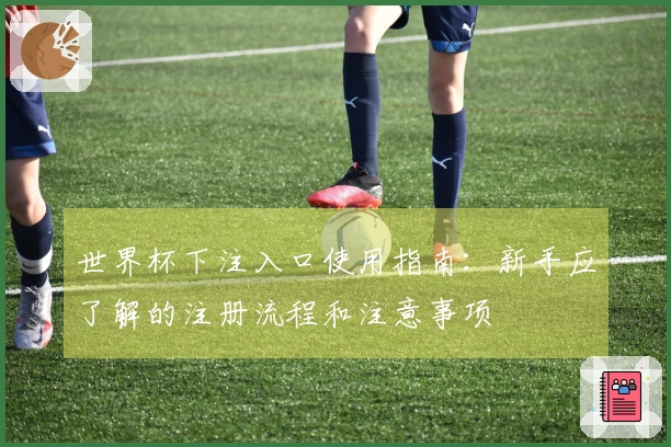 世界杯下注入口使用指南：新手应了解的注册流程和注意事项