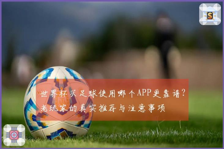 世界杯买足球使用哪个APP更靠谱？老玩家的真实推荐与注意事项