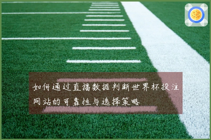 如何通过直播数据判断世界杯投注网站的可靠性与选择策略