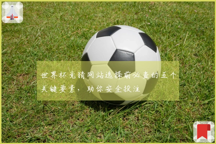 世界杯竞猜网站选择前必查的五个关键要素，助你安全投注