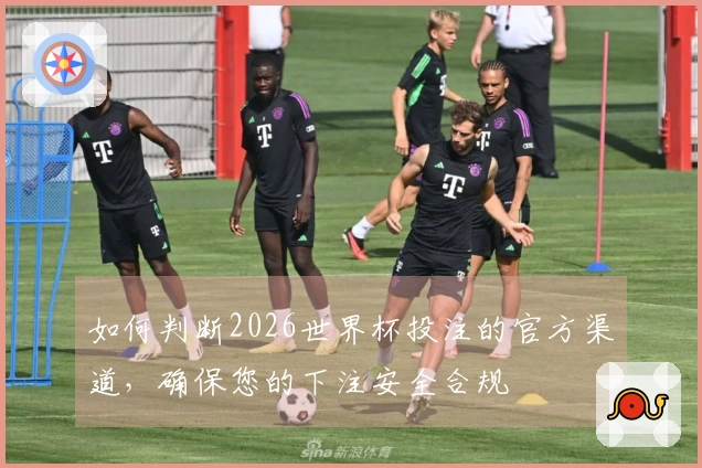 如何判断2026世界杯投注的官方渠道，确保您的下注安全合规