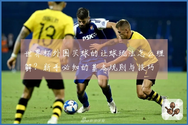 世界杯外围买球的让球玩法怎么理解？新手必知的基本规则与技巧