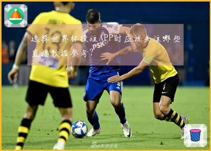 选择世界杯投注APP时应该关注哪些直播数据参考？