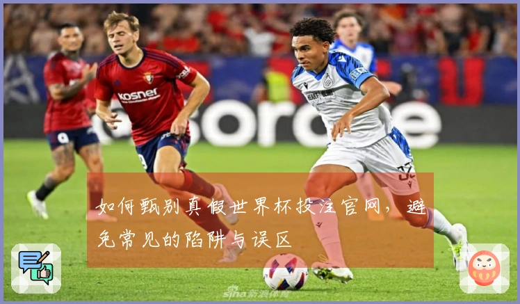 如何甄别真假世界杯投注官网，避免常见的陷阱与误区