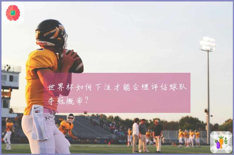世界杯如何下注才能合理评估球队夺冠概率？