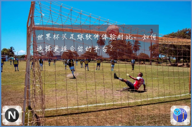 世界杯买足球软件体验对比，如何选择更适合你的平台？