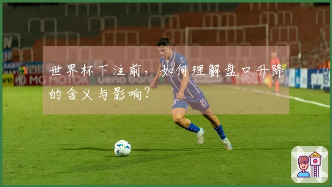 世界杯下注前，如何理解盘口升降的含义与影响？
