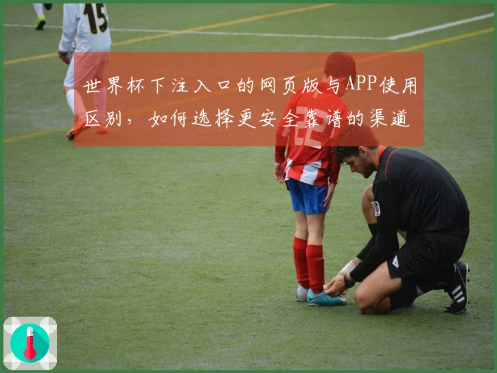 世界杯下注入口的网页版与APP使用区别，如何选择更安全靠谱的渠道？