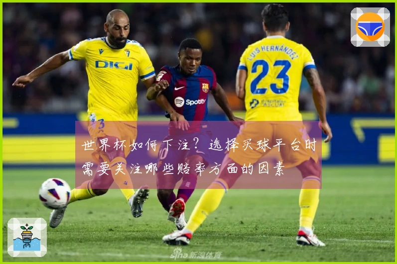 世界杯如何下注？选择买球平台时需要关注哪些赔率方面的因素