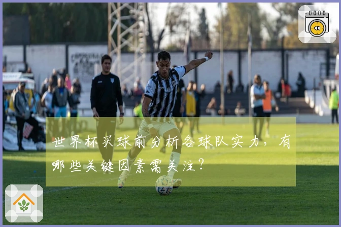 世界杯买球前分析各球队实力，有哪些关键因素需关注？