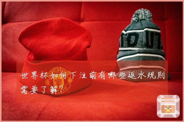世界杯如何下注前有哪些返水规则需要了解？