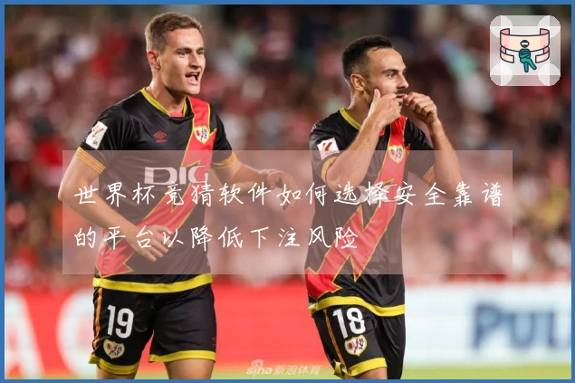 世界杯竞猜软件如何选择安全靠谱的平台以降低下注风险