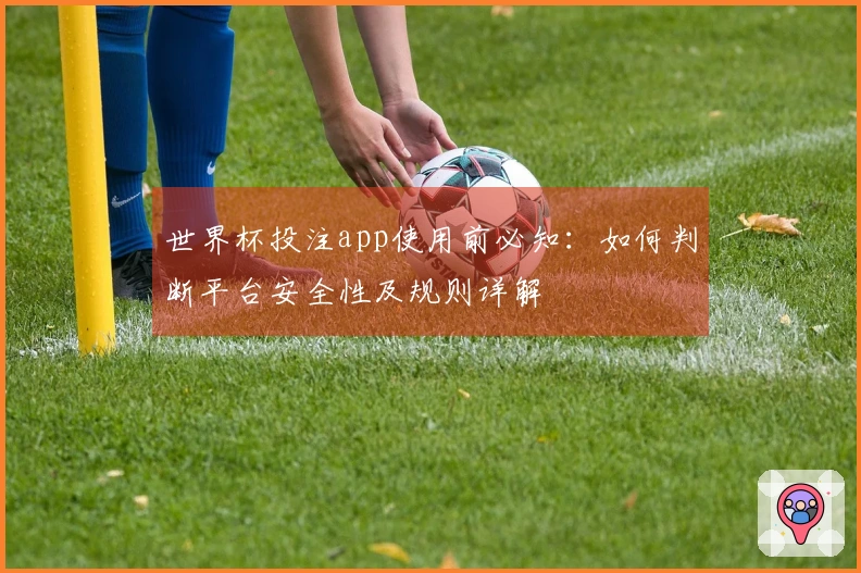 世界杯投注app使用前必知：如何判断平台安全性及规则详解