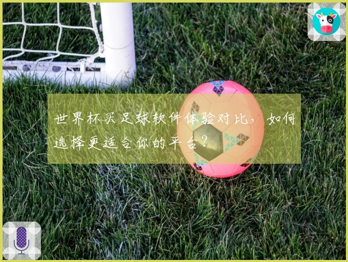 世界杯买足球软件体验对比，如何选择更适合你的平台？