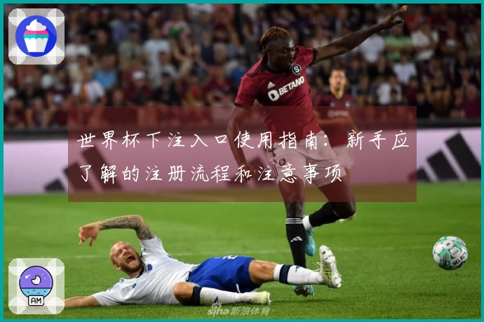 世界杯下注入口使用指南：新手应了解的注册流程和注意事项