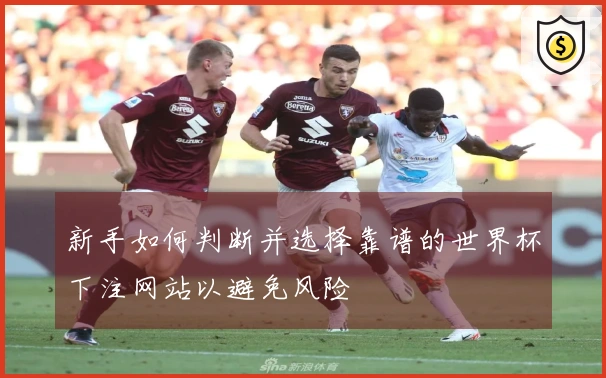新手如何判断并选择靠谱的世界杯下注网站以避免风险