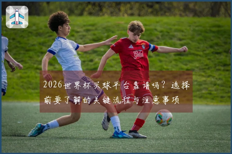 2026世界杯买球平台靠谱吗？选择前要了解的关键流程与注意事项