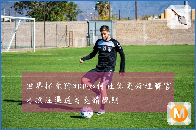世界杯竞猜app如何让你更好理解官方投注渠道与竞猜规则