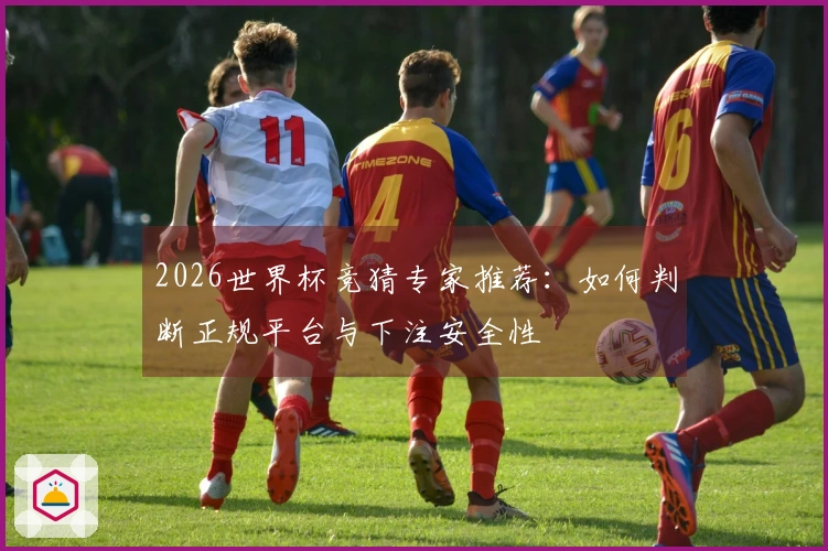 2026世界杯竞猜专家推荐：如何判断正规平台与下注安全性