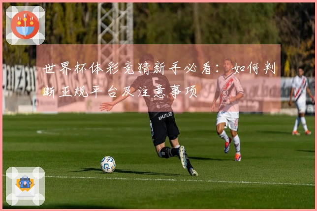 世界杯体彩竞猜新手必看：如何判断正规平台及注意事项