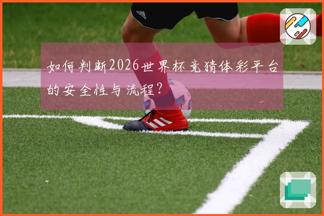 如何判断2026世界杯竞猜体彩平台的安全性与流程？