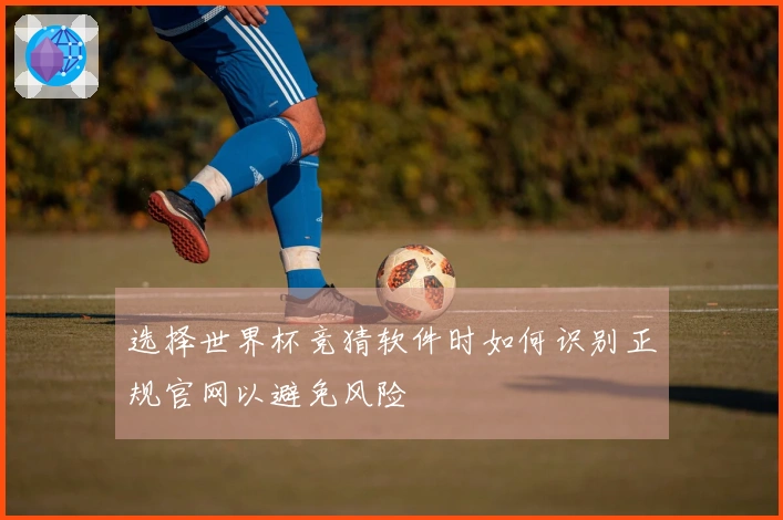 选择世界杯竞猜软件时如何识别正规官网以避免风险